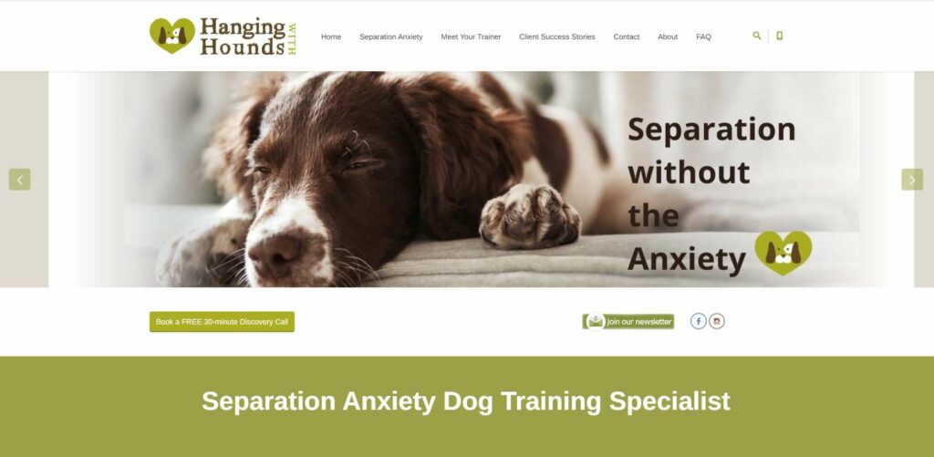 Hanging With Hounds: Separation Anxiety Dog Trainer