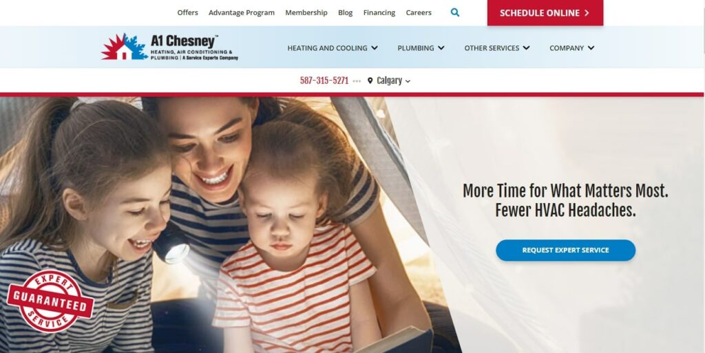 A1 Chesney Service Experts Homepage