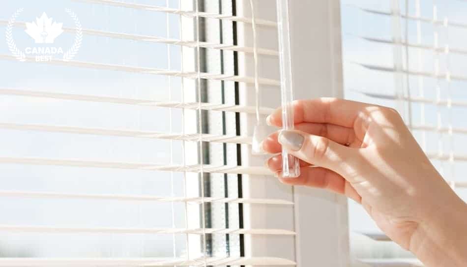 The 5 Best Blinds in Calgary