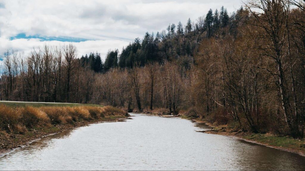 Abbotsford