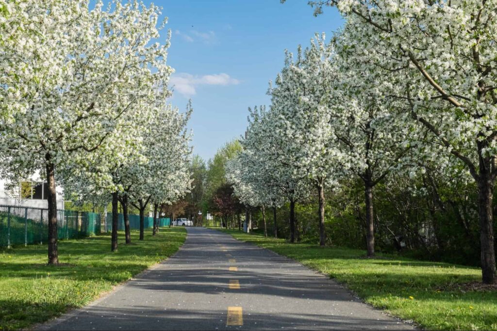 Longueuil