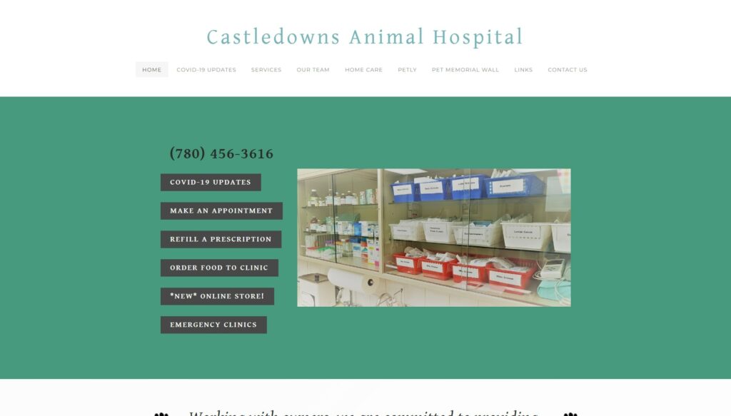 Castledowns Animal Hospital Homepage