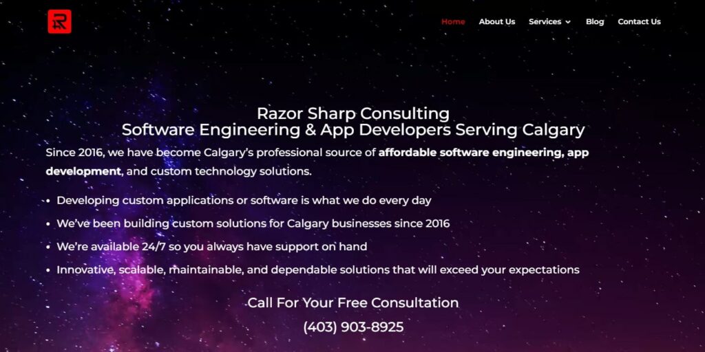 Razor Sharp Consulting' Homepage