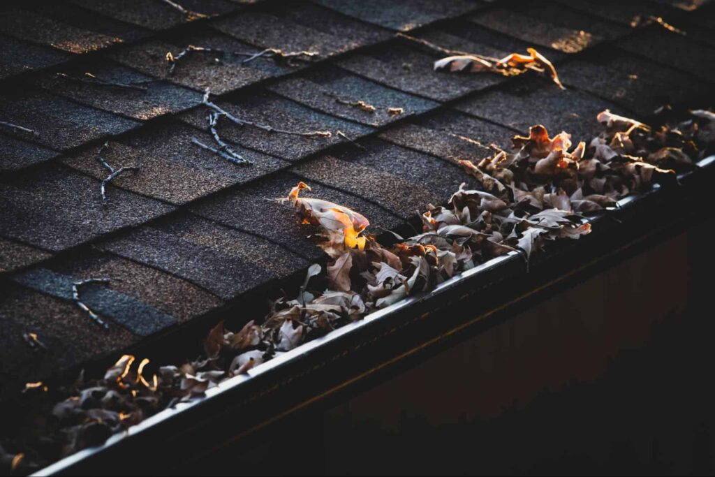 The Top 5 Gutter Cleaning Services in Edmonton