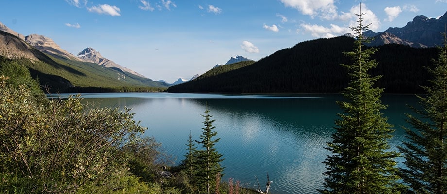 It holds 20% of the world's freshwater