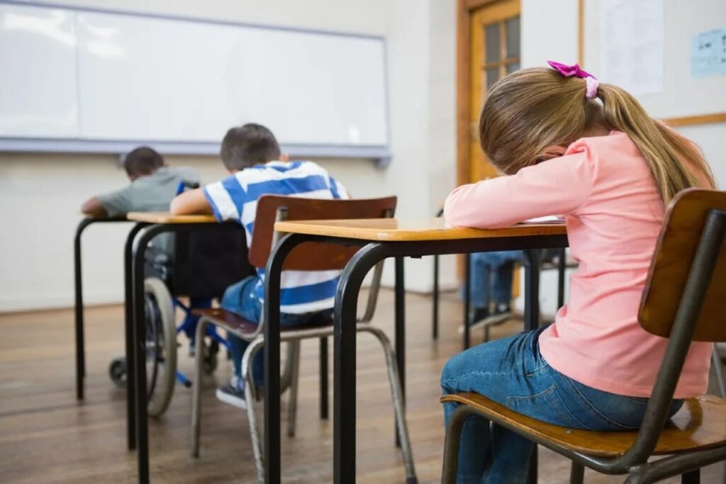 Education System