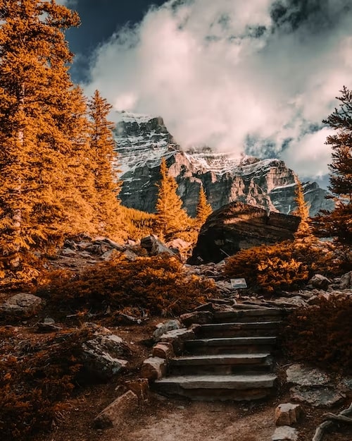 Larch Valley