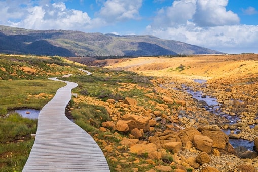 The Fjords of Gros Morne