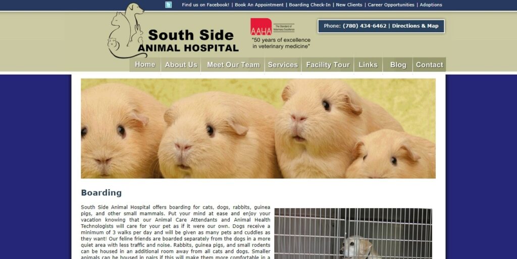 Dr. Heather Steele – South Side Animal Hospital's Homepage