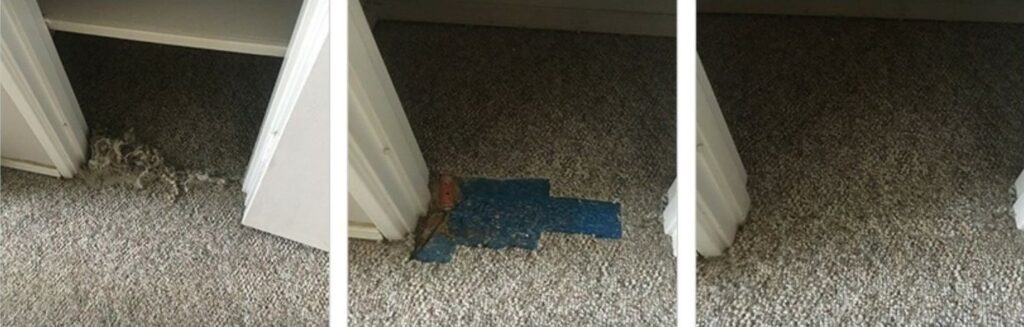 OAB Reliable Carpet Care