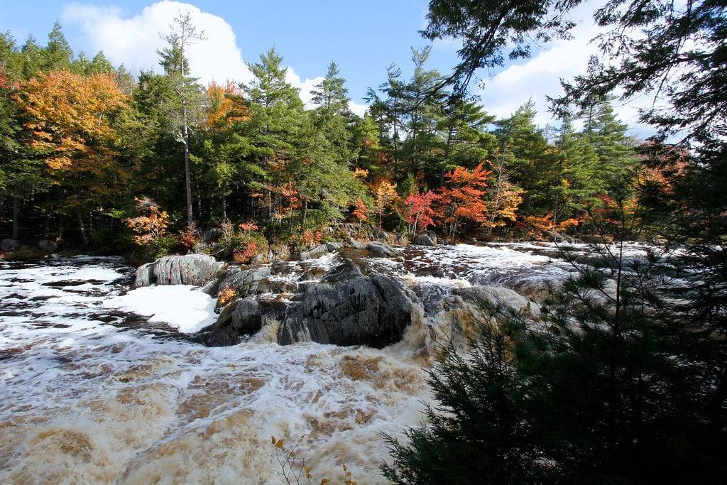 Go canoeing at Kejimkujik National Park's Homepage