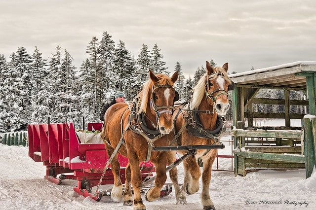 Take a sleigh ride at Hatfield Farm's Homepage