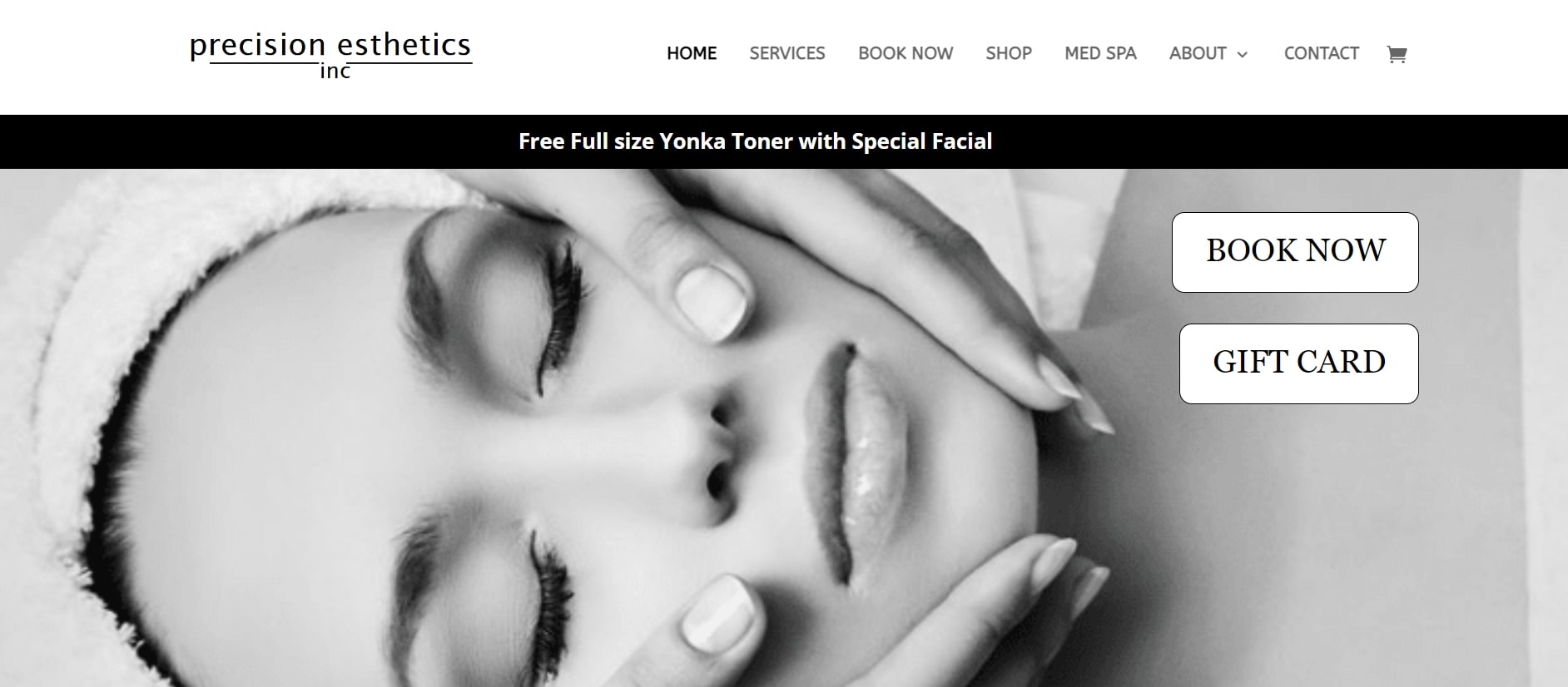 Precision Esthetics Inc – Lynne Ryan's Homepage