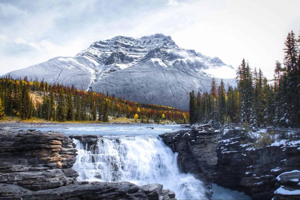 Stop by the magnificent Athabasca Falls' Homepage