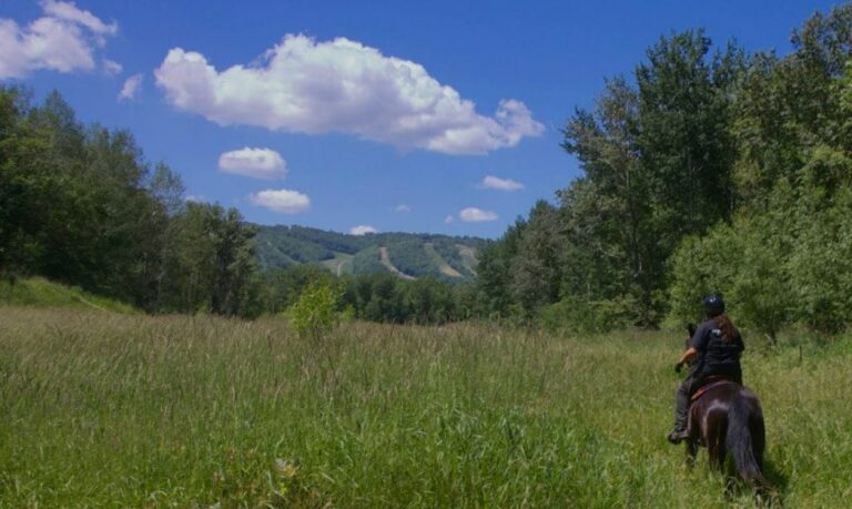 Our Picks: 10 Best Horseback Riding Spots in Ontario [2026]