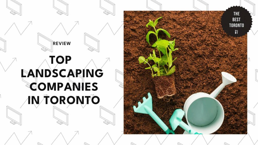 The 5 Best Landscaping Companies in Toronto