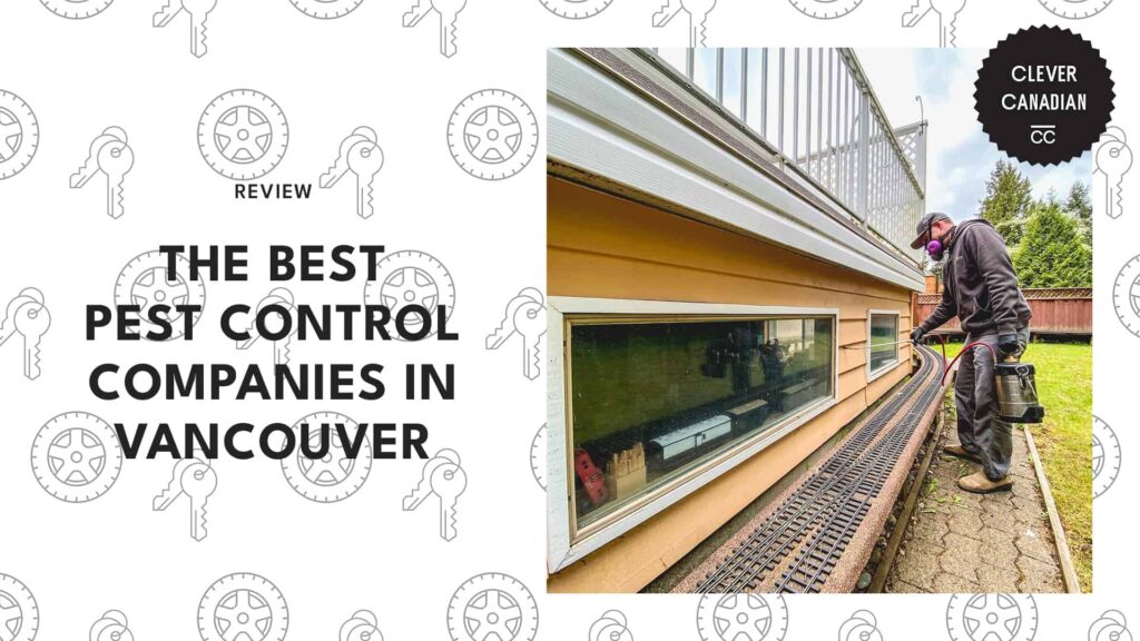 The 5 Best Pest Control Services in Vancouver