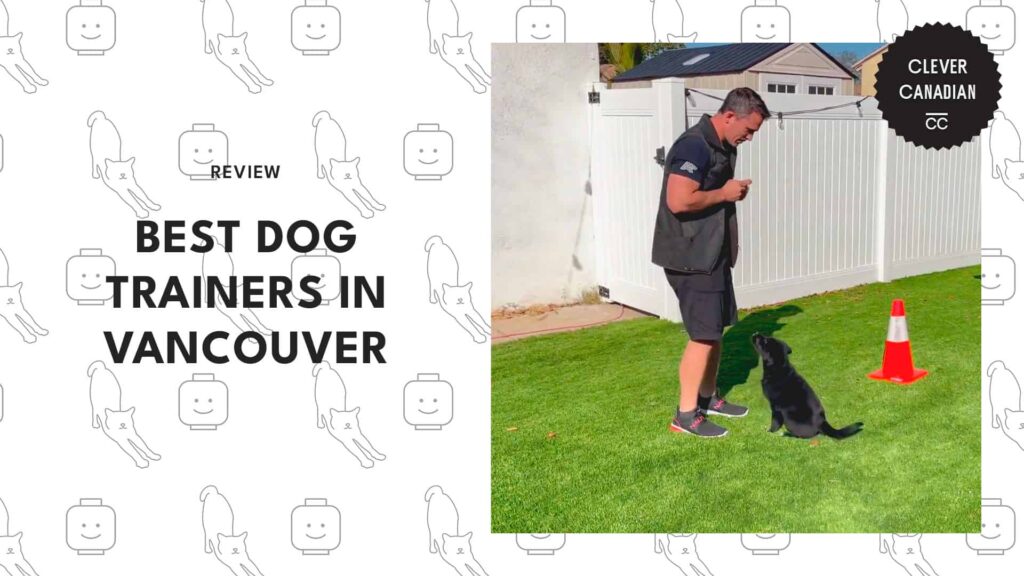 best-dog-trainers-vancouver-banner