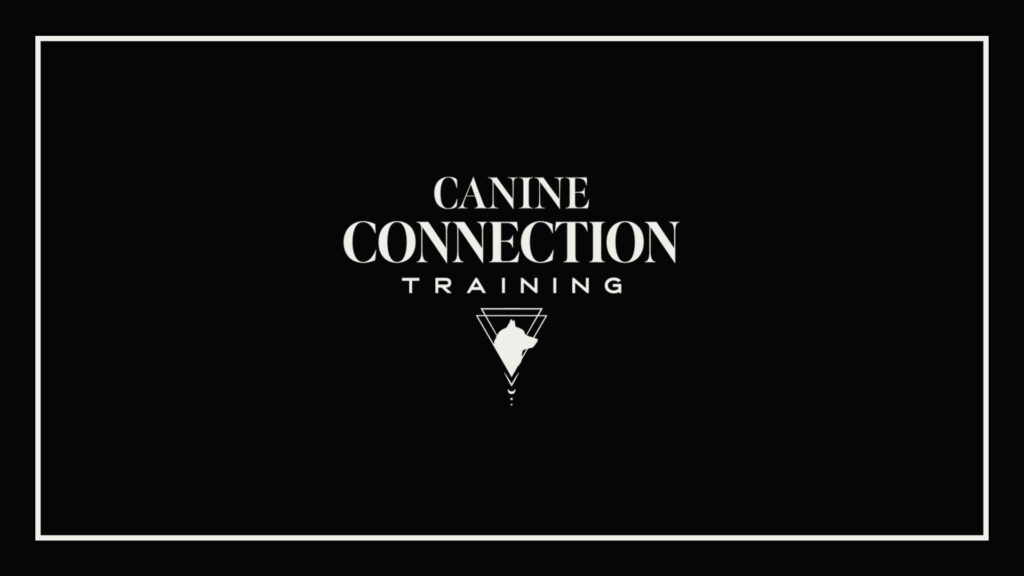 canine-connection-training-logo