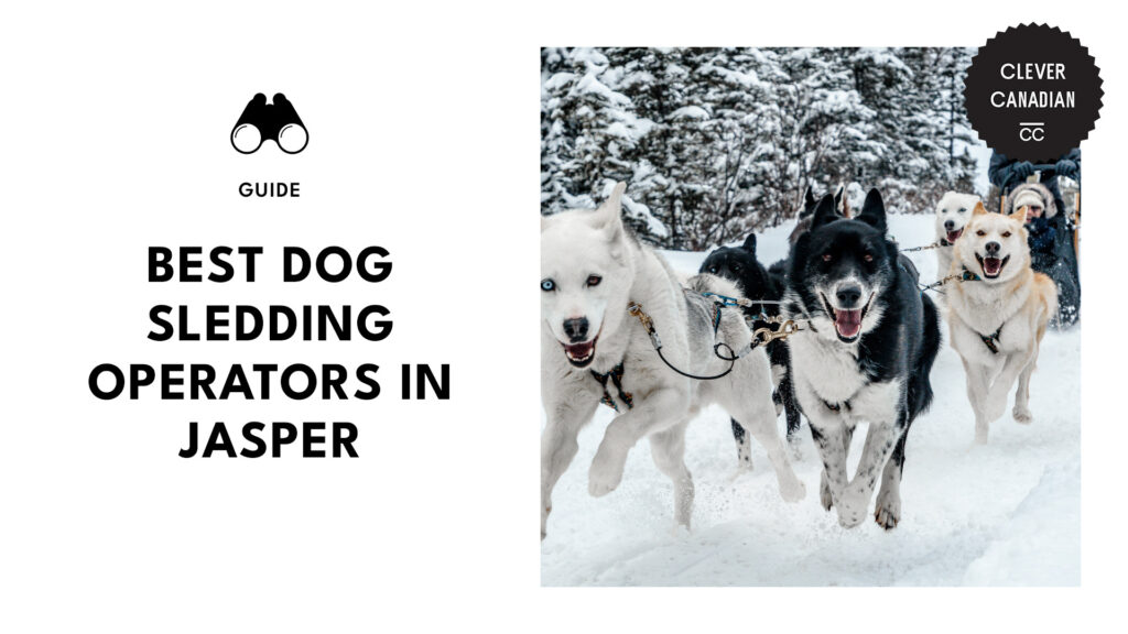 best-dog-sledding-operators-jasper-banner