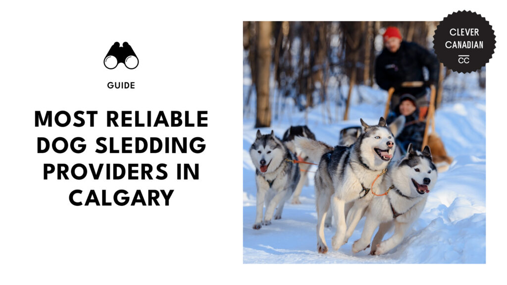 best-dog-sledding-providers-calgary-banner