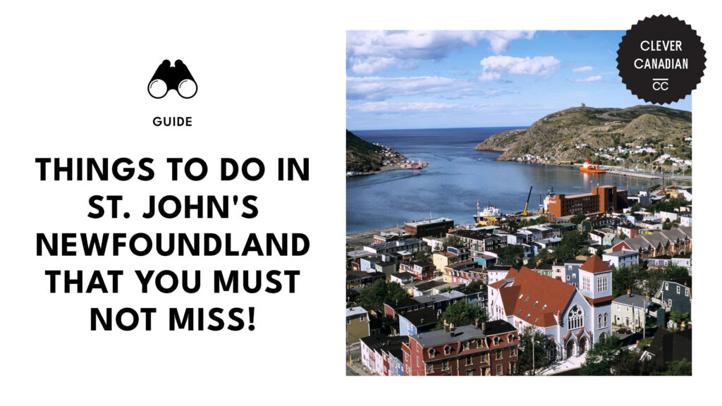 best-things-to-do-st-johns-newfoundland-banner