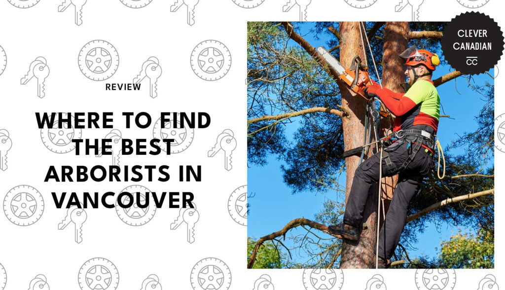 best-arborists-vancouver-banner