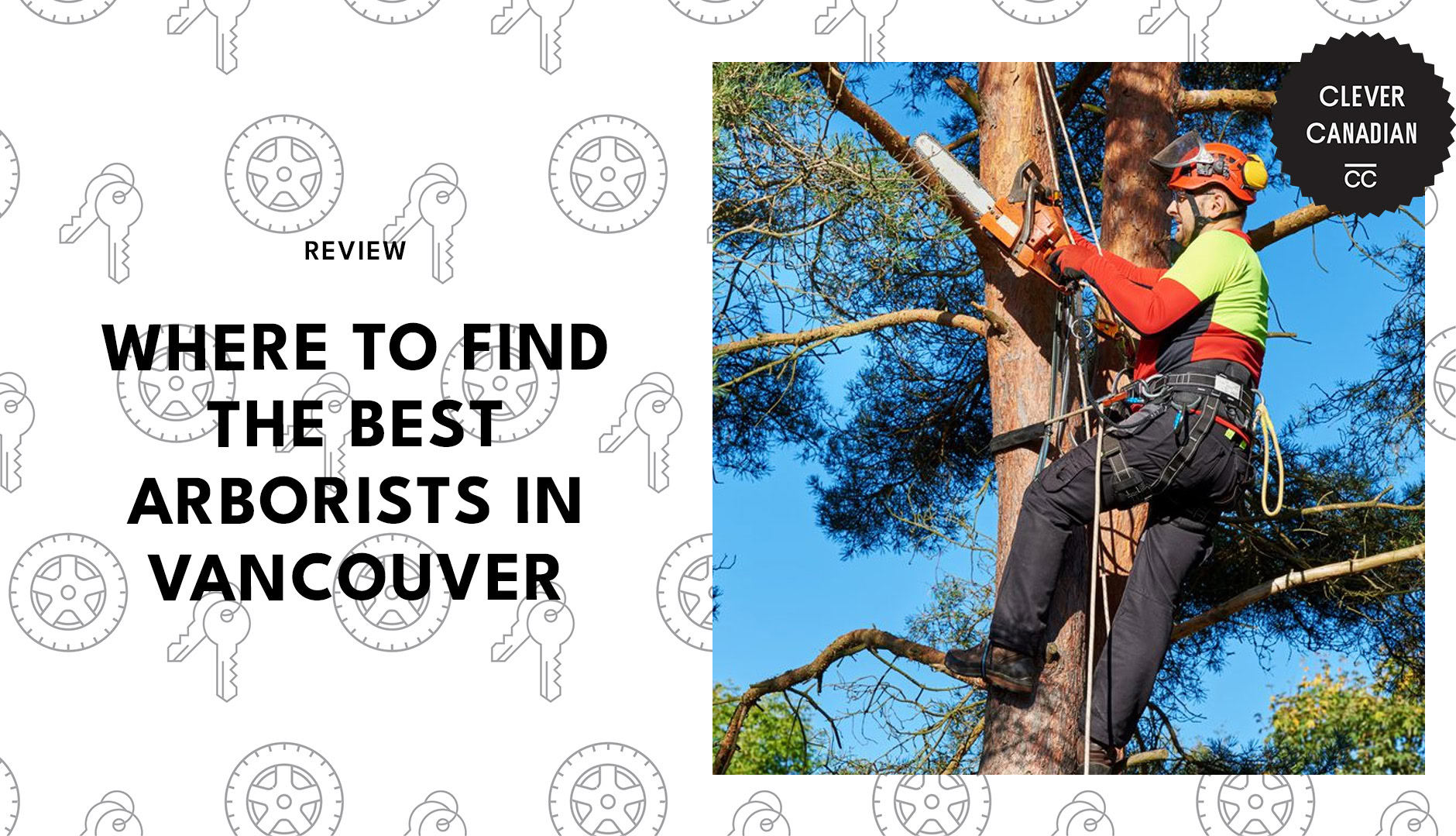 best-arborists-vancouver-banner