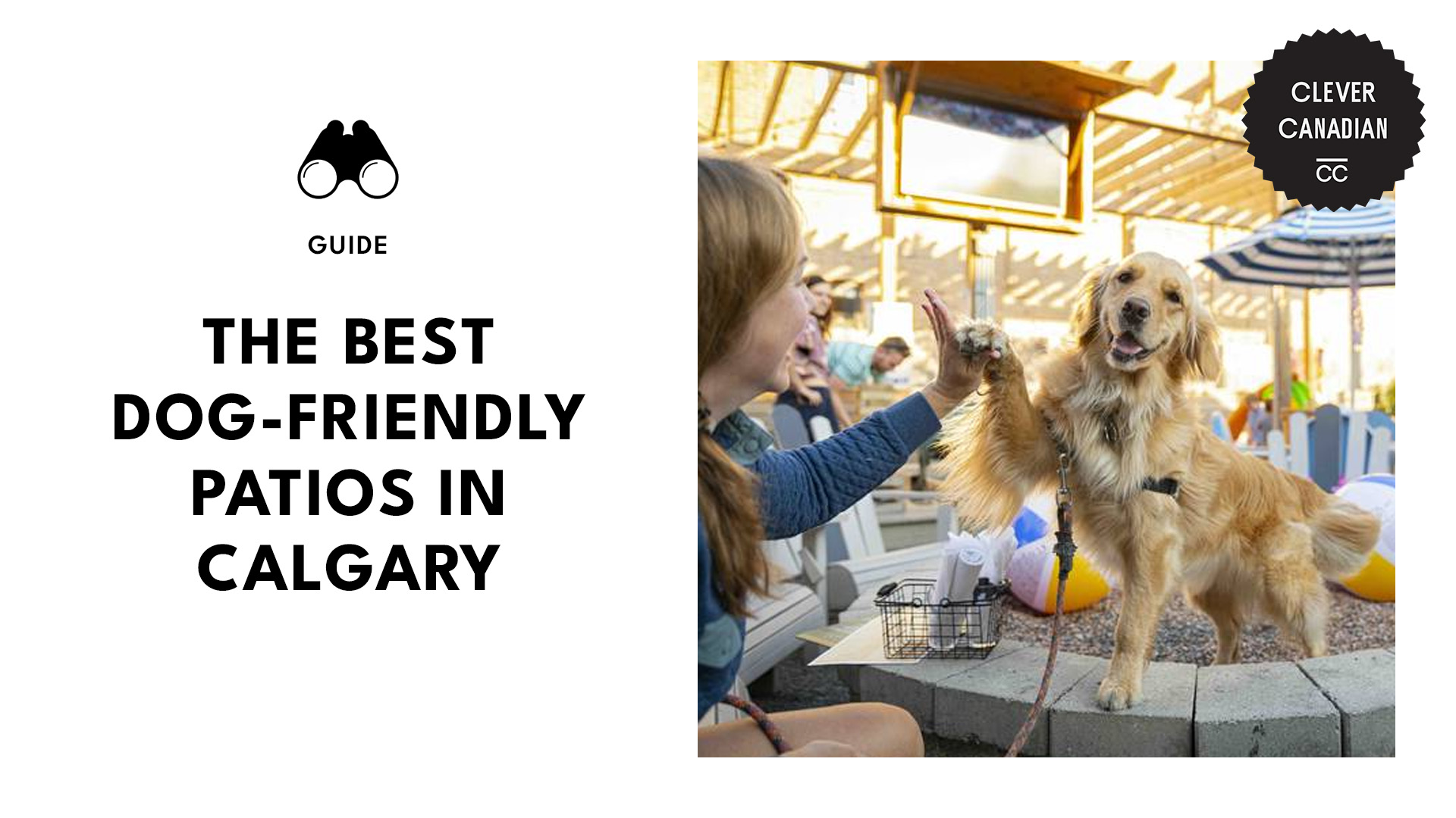 best-dog-friendly-patios-calgary-banner