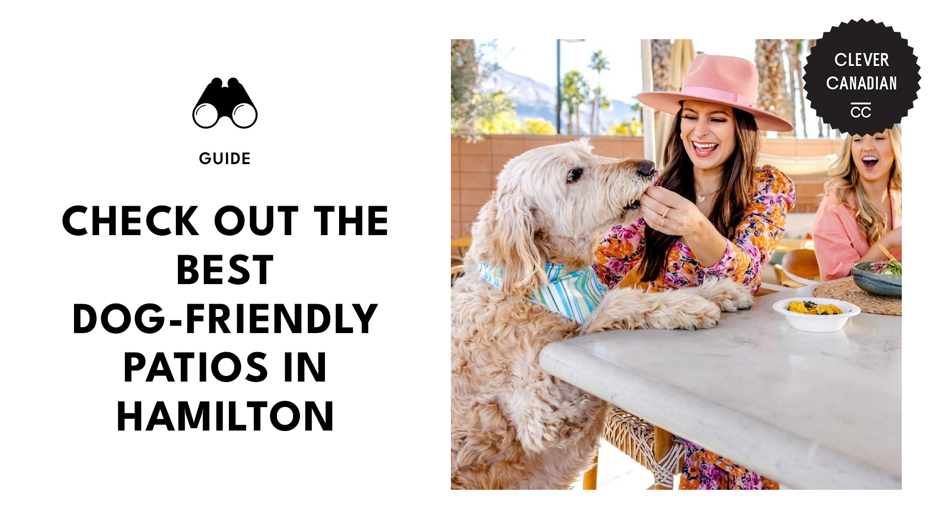 best-dog-friendly-patios-hamilton-banner