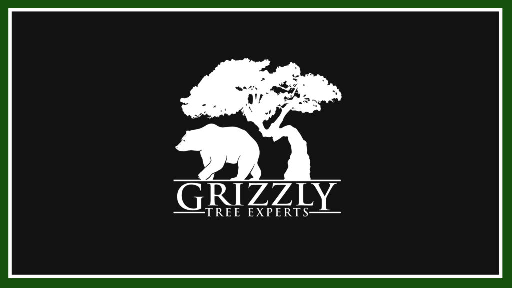 grizzly-tree-experts-logo