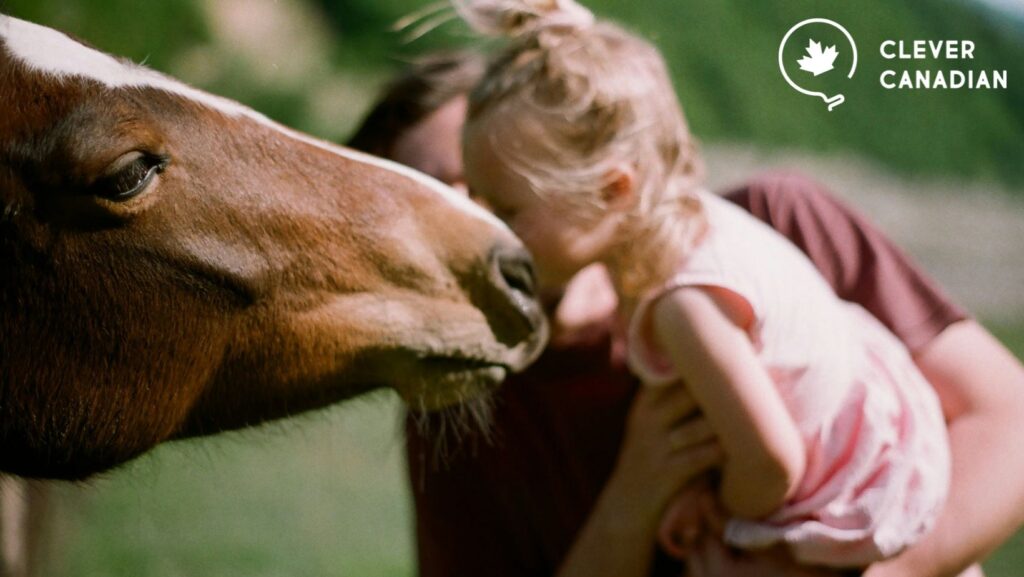 horse