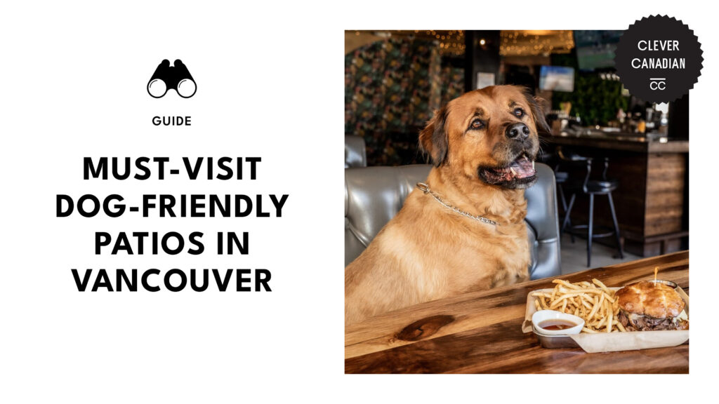best-dog-friendly-patios-vancouver-banner