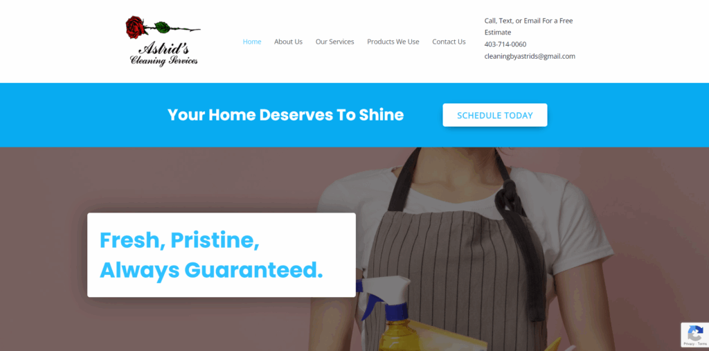 astrids cleaning services