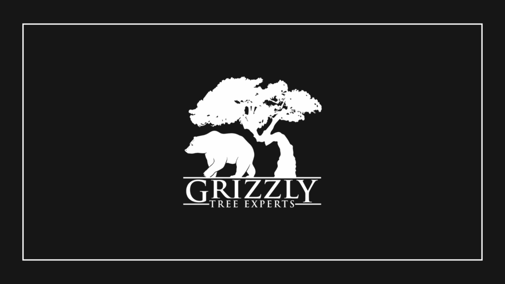 grizzly-tree-experts-logo