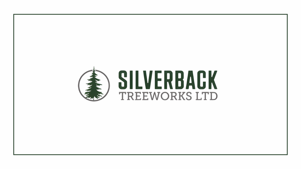 silverback-treeworks-ltd-logo