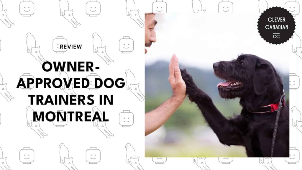 best-dog-trainers-montreal-banner