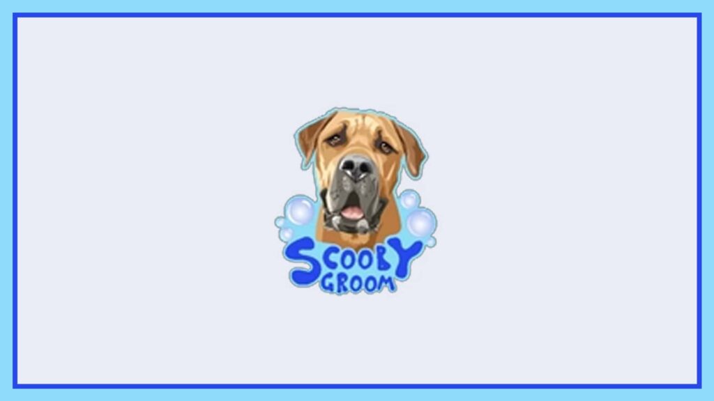 scooby-groom-toronto